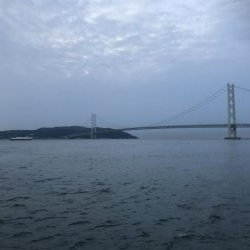 久しぶりの青物