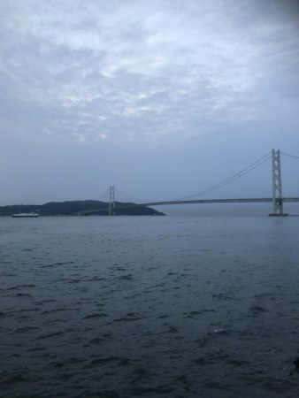 久しぶりの青物