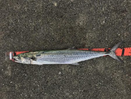 和田坊しか行けなくて