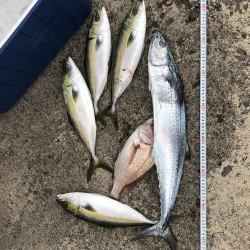 ボートメンテナンスのつもりが