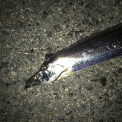 リベンジとは。