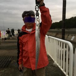 朝間のわずか1時間だけ