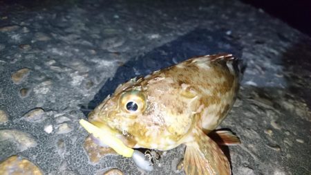 久しぶりのナイトゲーム