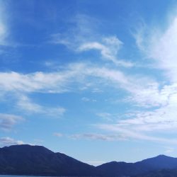 午後から短時間釣行