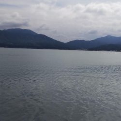 午後からエギング