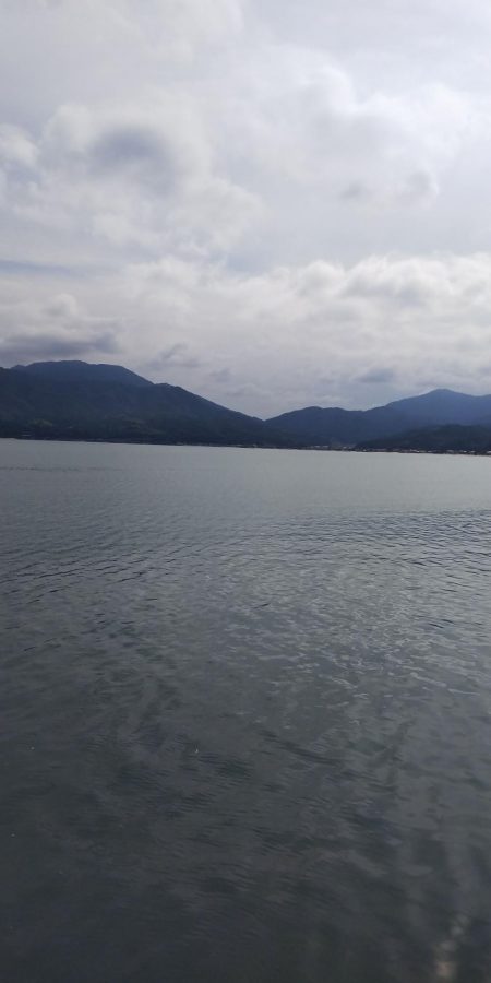 午後からエギング