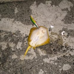 今日はいい日だ❗