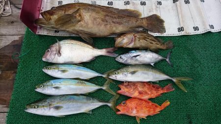 ライトジギング