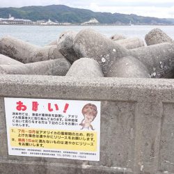 職場の仲間と旅行