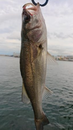 神戸サーべリングで苦戦〜牙狩り士