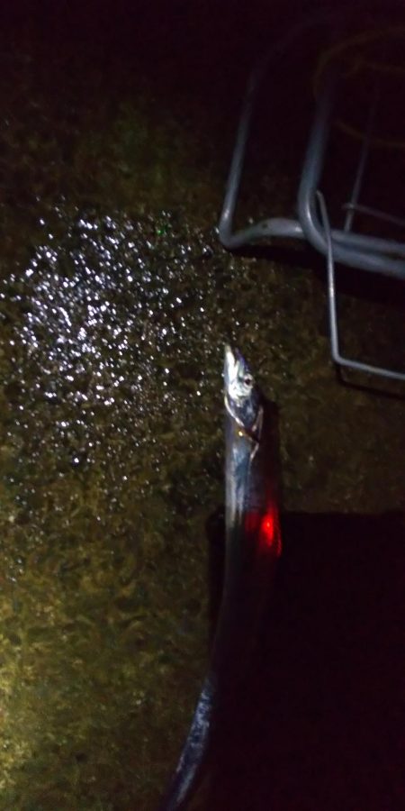 ワインドは不調もウキ釣りで挽回