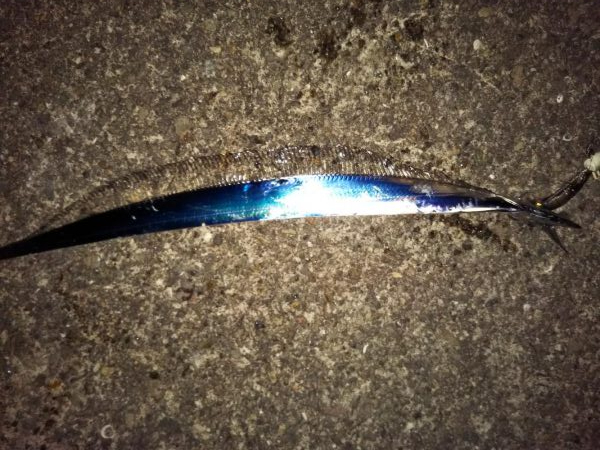 スモールスタート