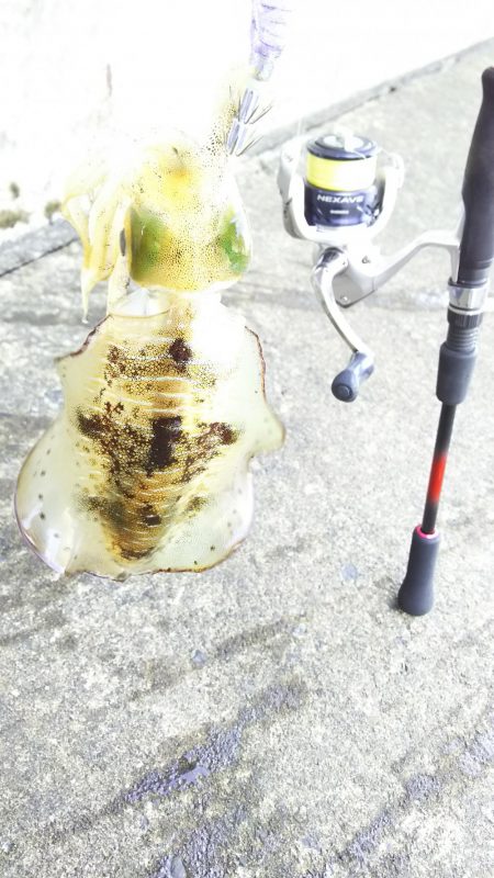 初心者セット7980