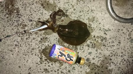 台風後の様子見て来ました。