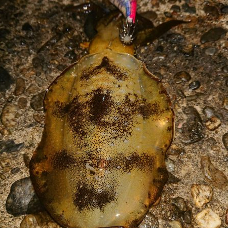 人が多く渋かった(>_<)