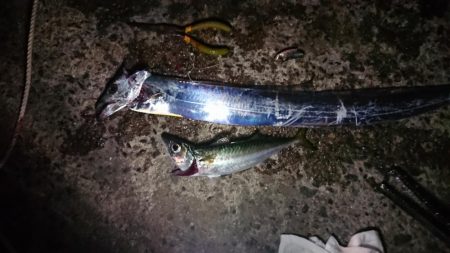 太刀魚ええサイズ！