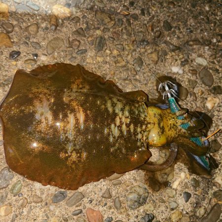 良い朝でした！