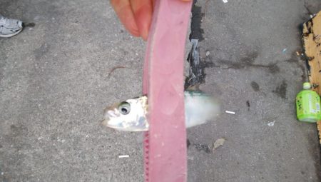 やっぱり渋いな