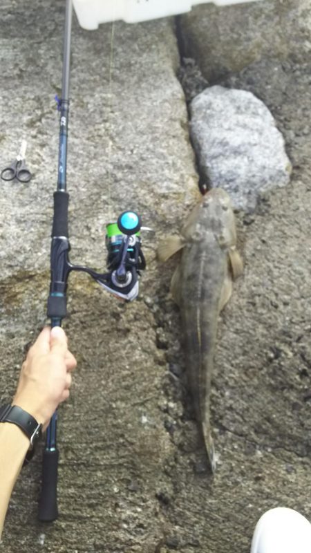 ライトショアジギ