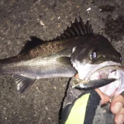 ラインチェックは小まめに(泣)