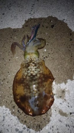 エキングパーティー参加