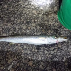 だんだん渋くなって来ました