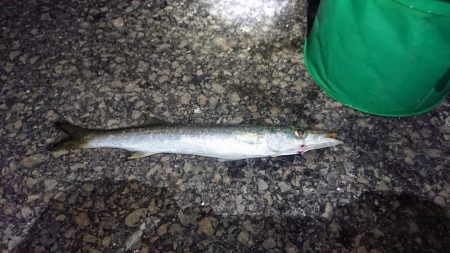 だんだん渋くなって来ました