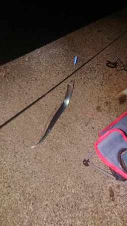 タチウオ釣れたけど