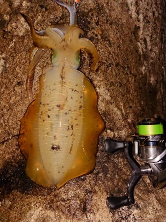 でました今季最高