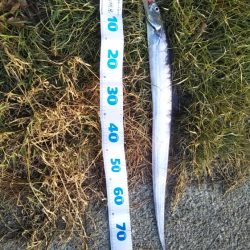 またしても大型熱帯低気圧が近づいています