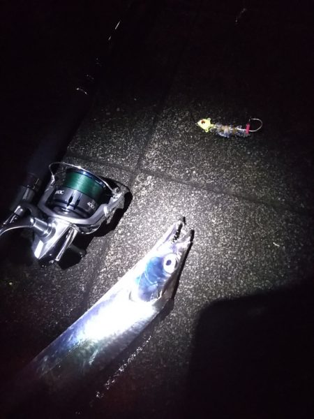 夕マヅメに賑わっていました