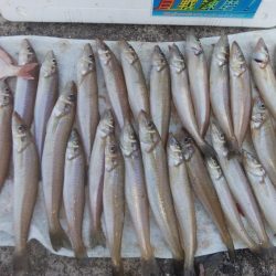 好釣果続く播磨新島釣行