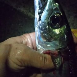 和歌山帰りに寄り道