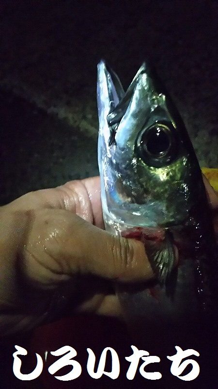 和歌山帰りに寄り道