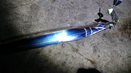 波止でタチウオ、エソ、地磯でアオリイカ