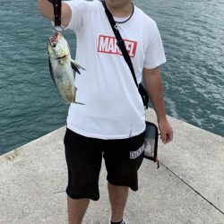 マズメじゃないのにナブラが数分置きに、、、