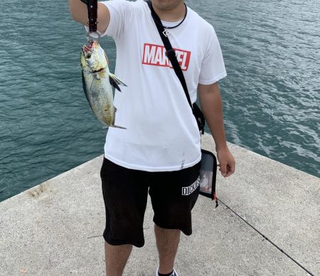 マズメじゃないのにナブラが数分置きに、、、