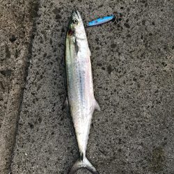 強風にも負けず