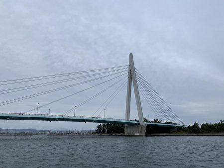 タチウオは何処へ