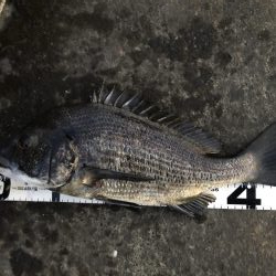 イチノ兄弟、釣果!