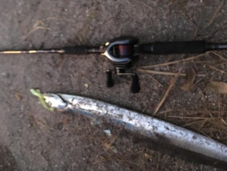 青物撃沈からの勝率100%の刀狩