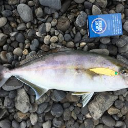 久しぶりのサーフ