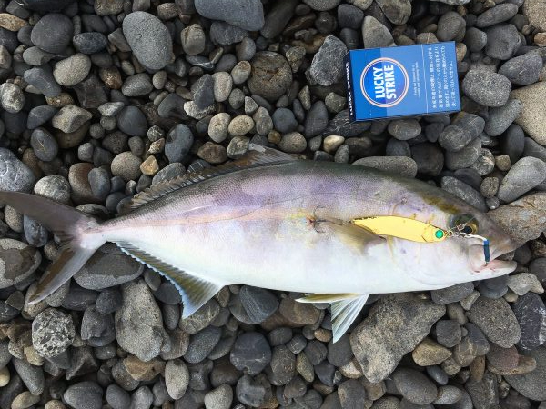 久しぶりのサーフ