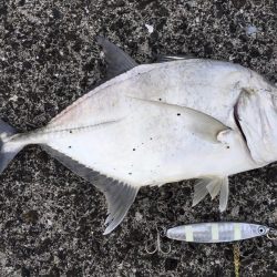 ダイソージグで・・・