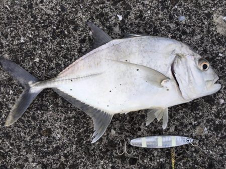 ダイソージグで・・・