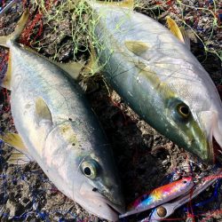 ショアジギング