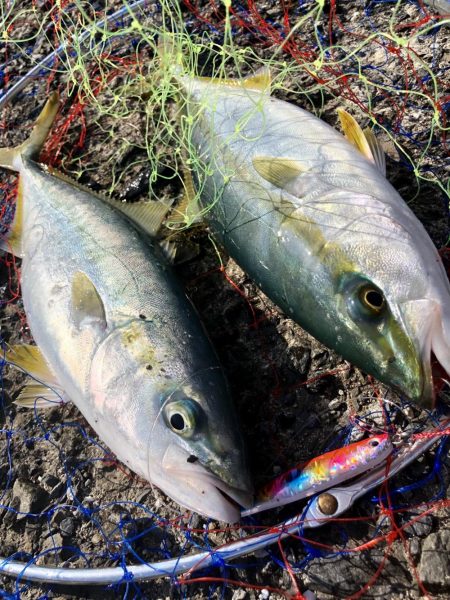 ショアジギング