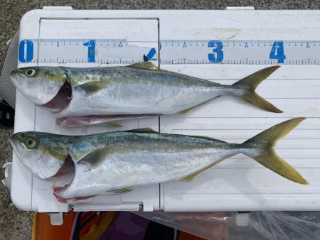 2日連続で淡路島釣行！！