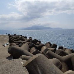 イカの気持ち２