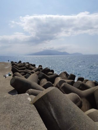 イカの気持ち２
